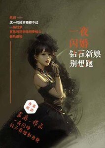 一夜閃婚:鑽石新娘別想逃
