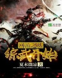 网游之从综武开始