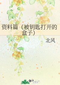 资料篇（被钥匙打开的盒子）